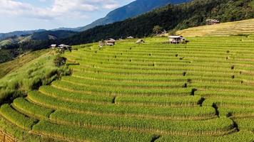 antenn se av ris terrass på förbjuda pa bong piang i chiang mai thailand foto