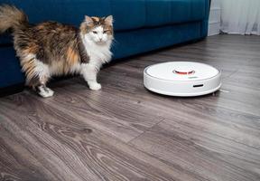 en vit Vakuum rengöringsmedel robot och en fluffig katt på en laminerad trä- golv. foto
