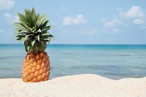 sommar tropisk landskap med ananas på de vit sand strand på de bakgrund av blå hav och himmel på en solig dag. foto