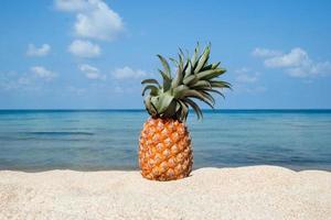 ananas på de vit sand strand på de bakgrund av blå hav och himmel på en solig dag, med kopia Plats. foto