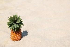 mogen ljuv ananas på de vit sand strand på en solig dag, med kopia Plats. foto