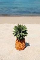 sommar tropisk landskap med ananas på de vit sand strand på de bakgrund av blå hav på en solig dag. foto