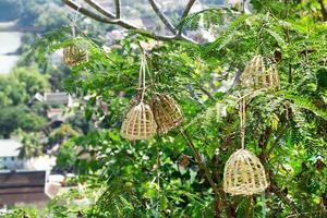 små trä- burar för fåglar på en träd på en pho si kulle på en bakgrund av en stad. luangprabang, laos. foto