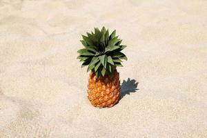 ananas på de vit sand strand på en solig dag, med kopia Plats. foto