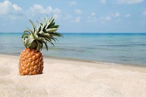 sommar tropisk landskap med ananas på de vit sand strand på de bakgrund av blå hav och himmel, med kopia Plats. foto
