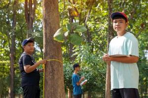 asiatisk pojke tar anteckningar på träd mätt förbi vänner till Beräkna de kol lagring av träd. begrepp inlärning utanför de klassrum handla om de miljö, global uppvärmning, kol poäng. foto