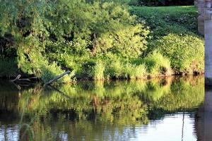 en se av de flod dee på farndon i cheshire foto