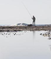 collaroy, australien, 2020 - man fiske under dagen foto