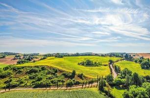 grönt gräsbevuxet fält under en blå himmel under dagtid foto