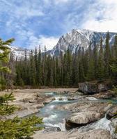 sparkar häst flod på naturlig bro i yoho nationell parkera, brittiskt columbia, kanada foto