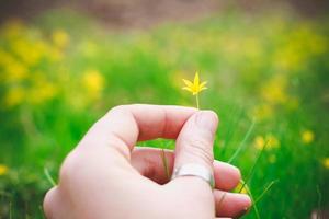 stänga upp lady hand innehar mycket liten gul blomma begrepp Foto