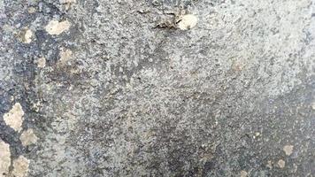 Foto av grå flod sten textur