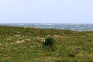 Medelhavets kust i norra Israel. foto