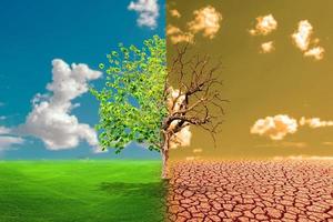 begrepp av klimat förändra och de miljö växthus betingelser och global uppvärmning, vatten kris, förorening problem. foto