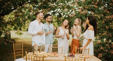 grupp av Lycklig ung människor glädjande med färsk citronsaft och äter frukt i de trädgård foto