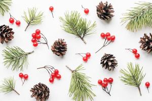 jul bakgrund, blommig mönster av tall träd grenar och koner på vit bakgrund, platt lägga textur foto