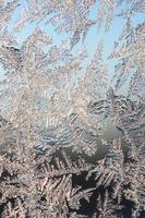 snöflingor frost rimfrost makro på fönster glas Ruta foto