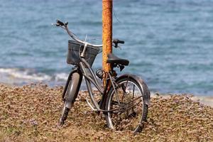 cykel i de stad parkera nära de hav. foto