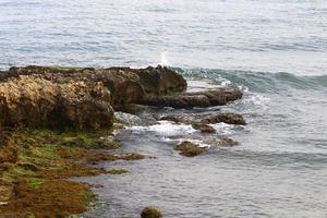 Medelhavets kust i norra Israel. foto