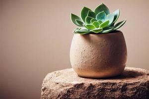 beige keramisk pott med suckulenter på naturlig marmor sten podium. studio, produkt pres foto