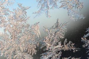 snöflingor frost rimfrost makro på fönster glas Ruta foto