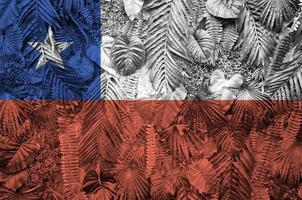 chile flagga avbildad på många leafs av monstera handflatan träd. trendig modern bakgrund foto
