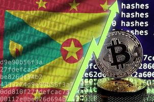 grenada flagga och stigande grön pil på bitcoin brytning skärm och två fysisk gyllene bitcoins foto