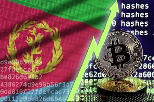 eritrea flagga och stigande grön pil på bitcoin brytning skärm och två fysisk gyllene bitcoins foto