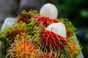 thai frukt, ljuv rambutan, skön Färg från de söder av thailand. foto