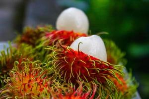 thai frukt, ljuv rambutan, skön Färg från de söder av thailand. foto