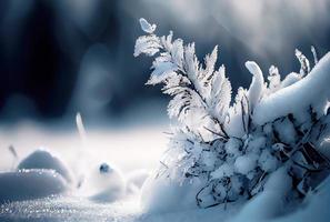 vinter- bakgrund av snö och frost foto