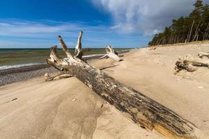 baltic hav kust på solnedgång foto