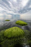 stenar på de kust av de baltic hav på solnedgång foto