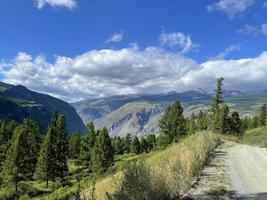 en Land väg i de berg, altai, ryssland foto