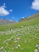 tarsar marsar kashmir foto