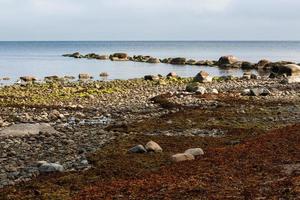 baltic hav kust på solnedgång foto