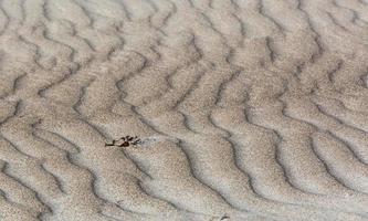 mönster i de strand sand foto