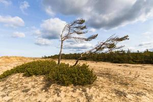 baltic hav kust på solnedgång foto