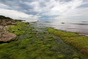 stenar på de kust av de baltic hav på solnedgång foto