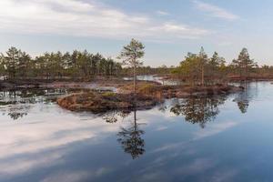 vår i de träsk sjöar foto