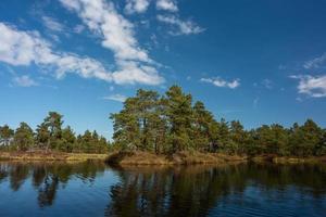 vår i de träsk sjöar foto