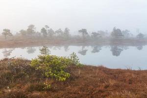 vår i de träsk sjöar foto