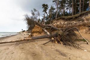 Östersjökusten foto