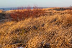 baltic hav kust med småsten och is på solnedgång foto