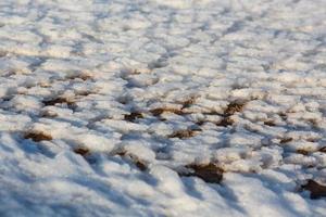 baltic hav kust med småsten och is på solnedgång foto