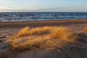 baltic hav kust med småsten och is på solnedgång foto