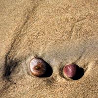 mönster i de strand sand foto