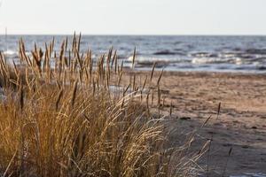 baltic hav kust med småsten och is på solnedgång foto