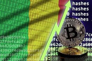 mali flagga och stigande grön pil på bitcoin brytning skärm och två fysisk gyllene bitcoins foto