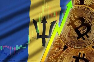 barbados flagga och kryptovaluta växande trend med många gyllene bitcoins foto